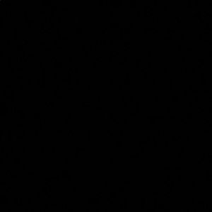 Meet your Posher, Abigail